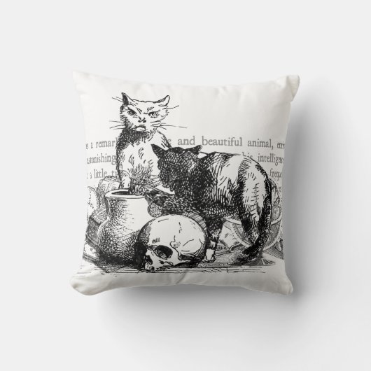 ミステリアスな猫 クッション (正面)