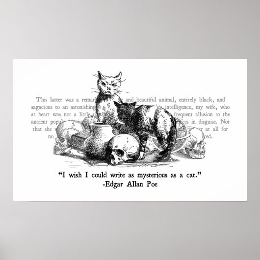 ミステリアスな猫 ポスター (正面)
