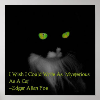 ミステリアスな猫 ポスター