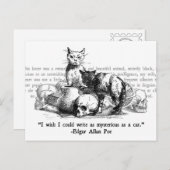 ミステリアスな猫 ポストカード (正面/裏面)