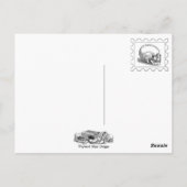 ミステリアスな猫 ポストカード (裏面)