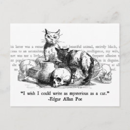 ミステリアスな猫 ポストカード