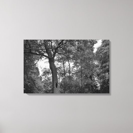 ミステリアスな穴がある木II キャンバスプリント (正面)
