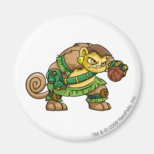 ミステリーアイランドチームキャプテン2 マグネット (正面)