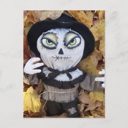 ミステリーサークルカール葉書 ポストカード (正面)