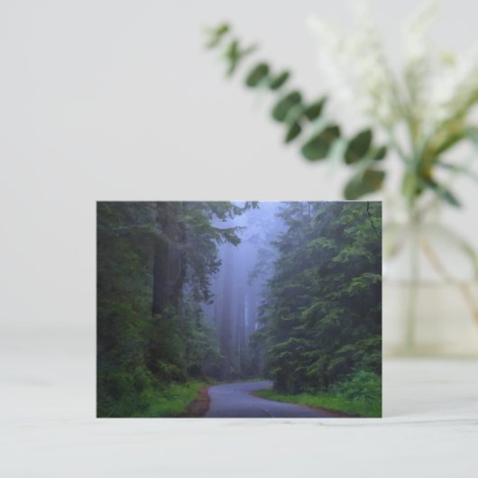 ミステリーレッドウッド国立公園はがき ポストカード (スタンド正面)