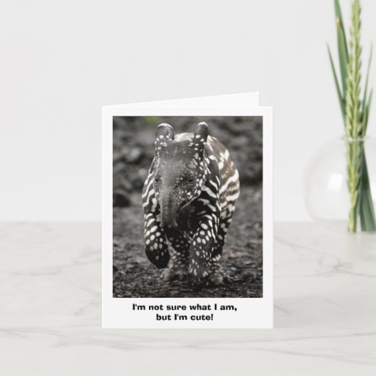 ミステリー生き物 カード (正面)