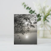 ミストとシャドウカード ポストカード (スタンド正面)