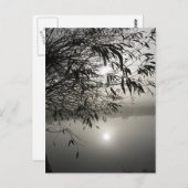 ミストとシャドウカード ポストカード (正面/裏面)