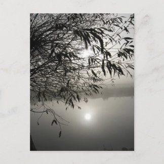 ミストとシャドウカード ポストカード