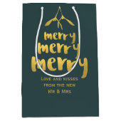 ミストレエレガントトークリスマスメリーホリデーグリーン ミディアムペーパーバッグ (正面)