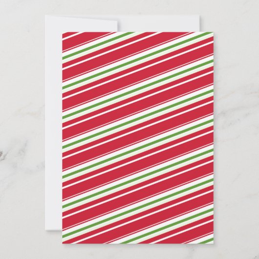 ミストレエレガントトーマルガリタスホリデーフィエスタパーティー 招待状 (裏面)