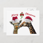 ミストレキスをするトーの下のクリスマスのキリン シーズンポストカード (正面/裏面)