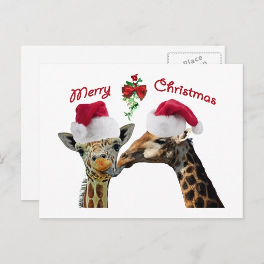 ミストレキスをするトーの下のクリスマスのキリン シーズンポストカード (正面/裏面)