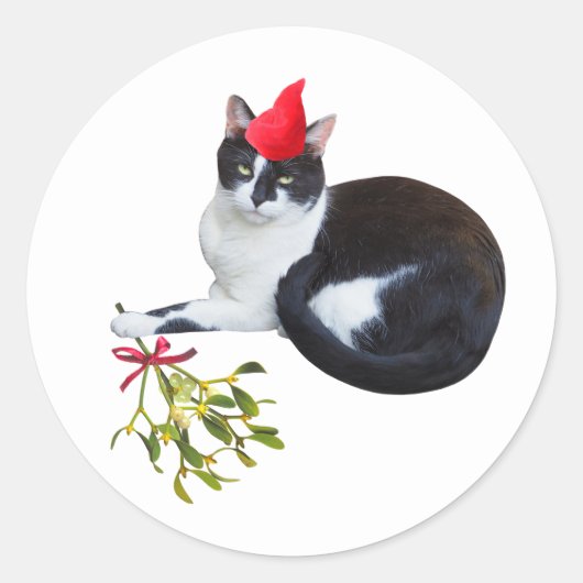 ミストレステッカー付き猫 ラウンドシール (正面)