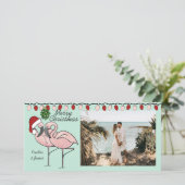 ミストレトーフラミンゴ シーズンカード (スタンド正面)