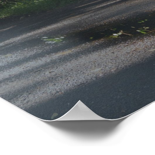 ミスト中のBMW M3 E90 ポスター (角)