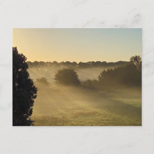 ミスト ポストカード (正面)