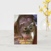 ミス・ア・ミ・ザ・謝る カード (黄色い花)