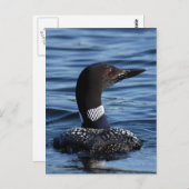 ミズウミガラス 3 ポストカード (正面/裏面)