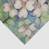 ミズキのティッシュペーパー 薄葉紙 (詳細)