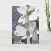 ミズキの挨拶 カード (正面)