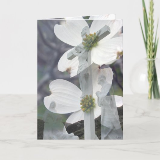 ミズキの挨拶 カード (正面)