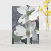 ミズキの挨拶 カード (黄色い花)