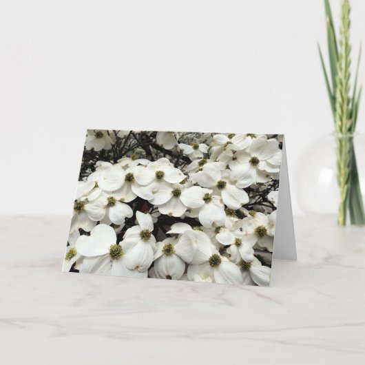 ミズキの花の花の挨拶状 カード (正面)