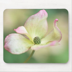 ミズキの花 のCornusのKousaの「失敗Satomi マウスパッド