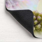 ミズキの花 マウスパッド (コーナー)