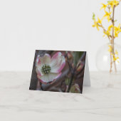 ミズキの花Notecard カード (黄色い花)