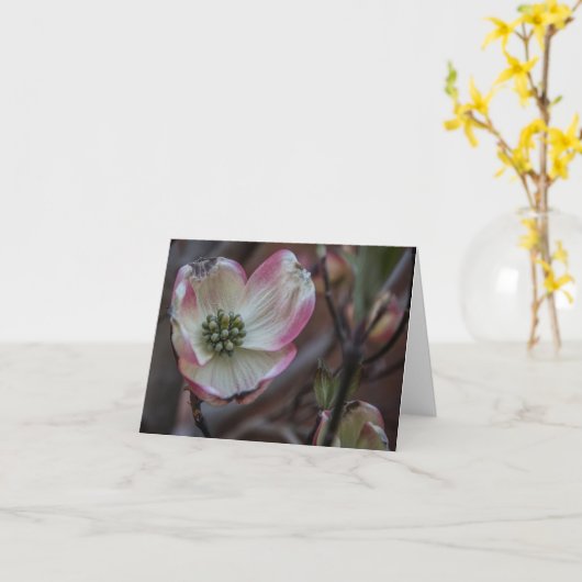 ミズキの花Notecard カード (黄色い花)