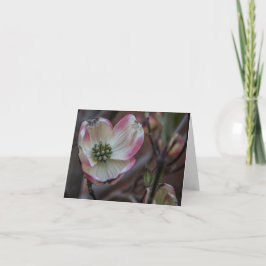 ミズキの花Notecard カード