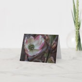 ミズキの花Notecard カード (正面)