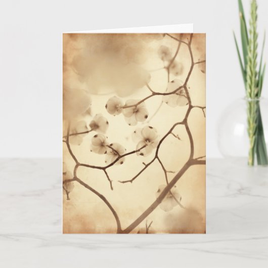 ミズキの集り カード (正面)