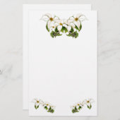 ミズキは静止した咲きます 便箋 (正面/裏面)