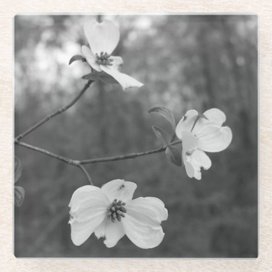 "ミズキ元の芸術KASによって"は開きます ガラスコースター (正面)