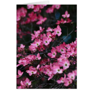 ミズキ木のピンクの花