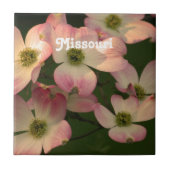 ミズキ タイル (正面)