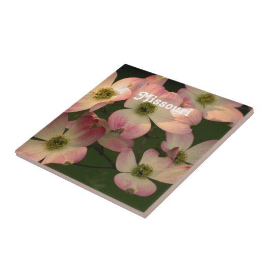 ミズキ タイル (側面)