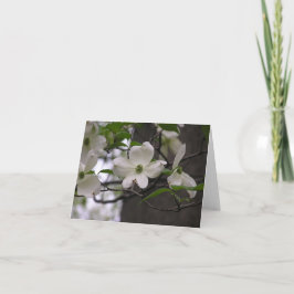 ミズキ(Cornusフロリダ)カード シーズンカード