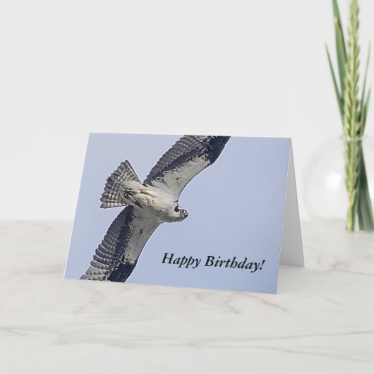 ミズグモの飛行 カード (正面)