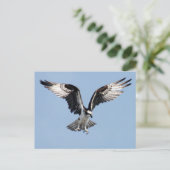 ミズグモ ポストカード (スタンド正面)