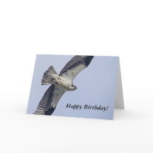 ミズチドリの飛行