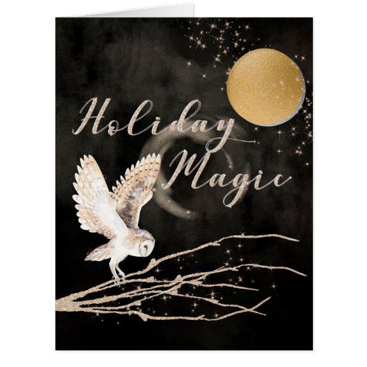 ミズティカルフクロウホリデー魔法スパークルムーン (正面)