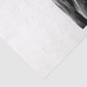 ミズーリのワイルドホース 薄葉紙 (詳細)