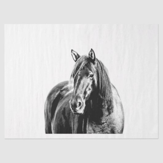 ミズーリのワイルドホース 薄葉紙 (正面)