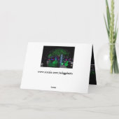 ミズーリの植物園のクリスマス シーズンカード (裏面)