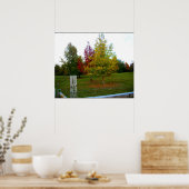 ミズーリの秋 ポスター (キッチン)